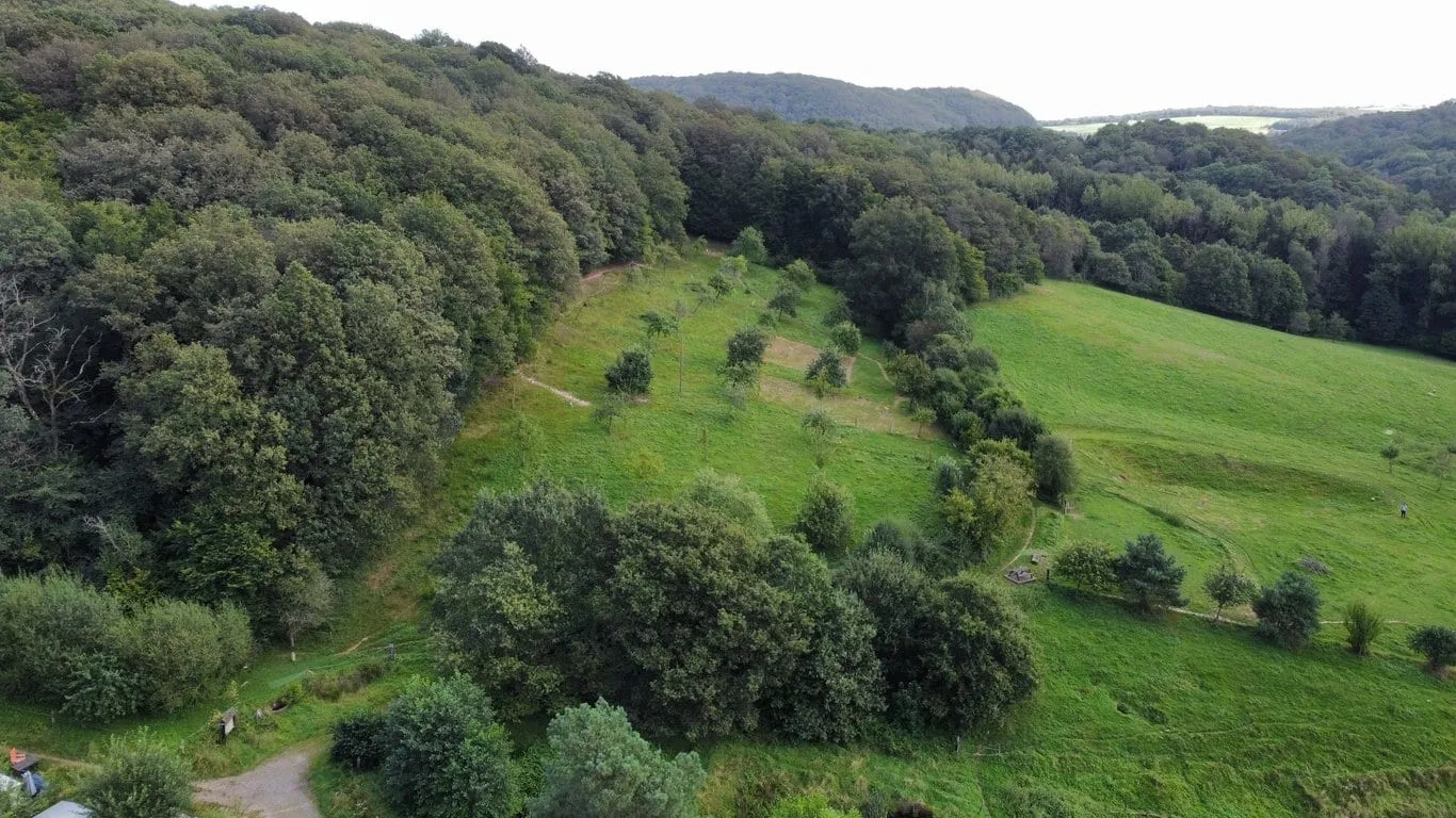 En balade parmi les arbres fruitiers