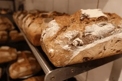 3e786561 13dc 4a78 afc5 c6f61a55c064