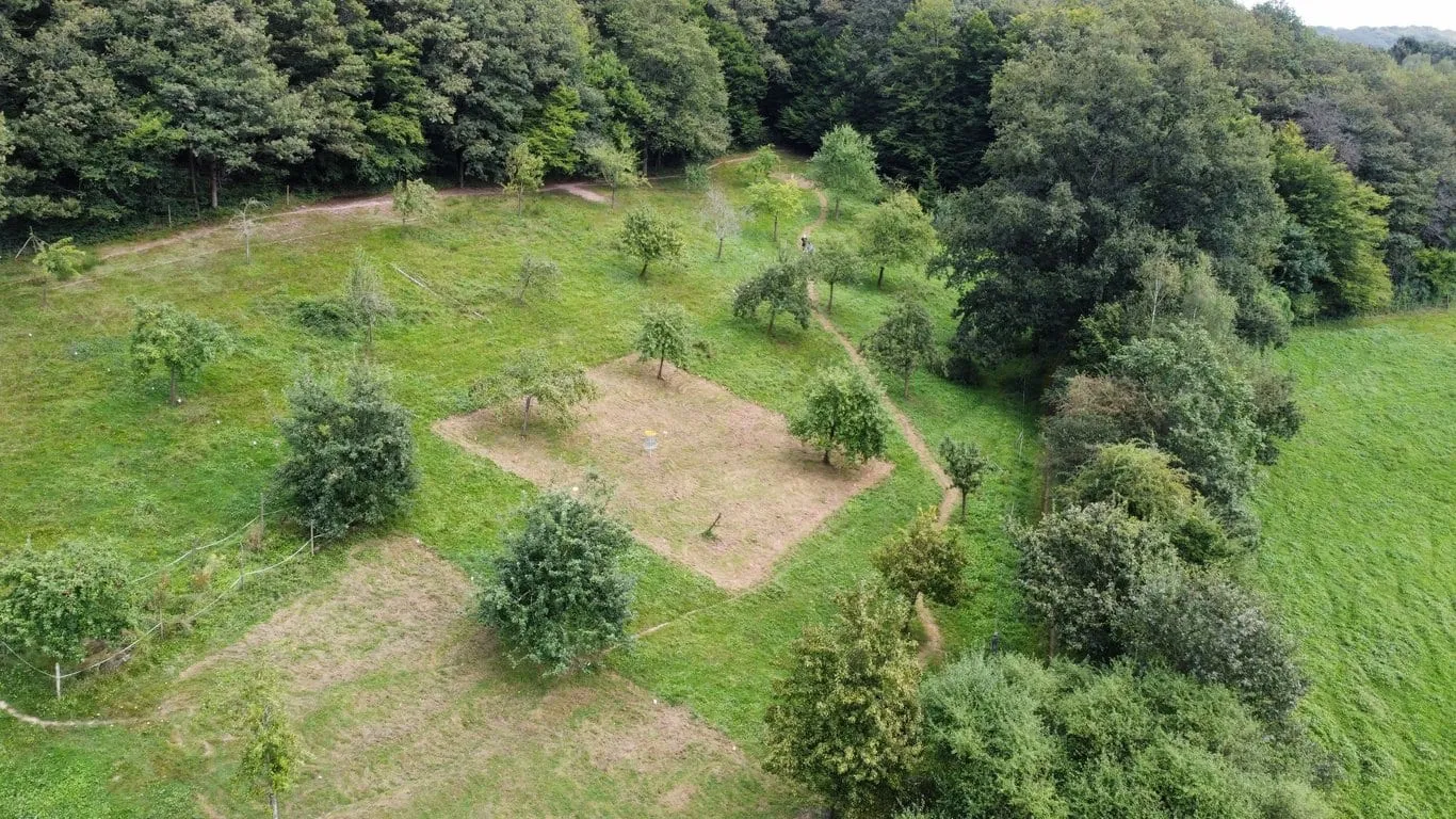 Dji fly 20240825 142334 973 1724589555431 photo optimized