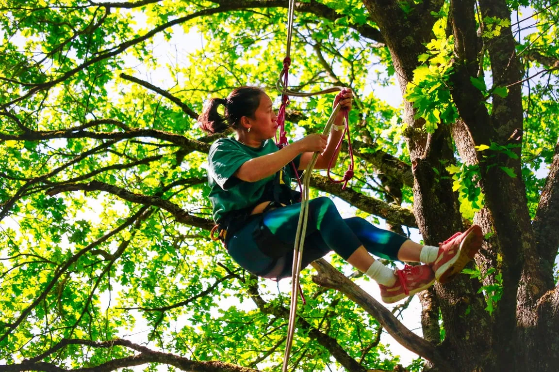 🪢 Grimpe encadrée dans les arbres