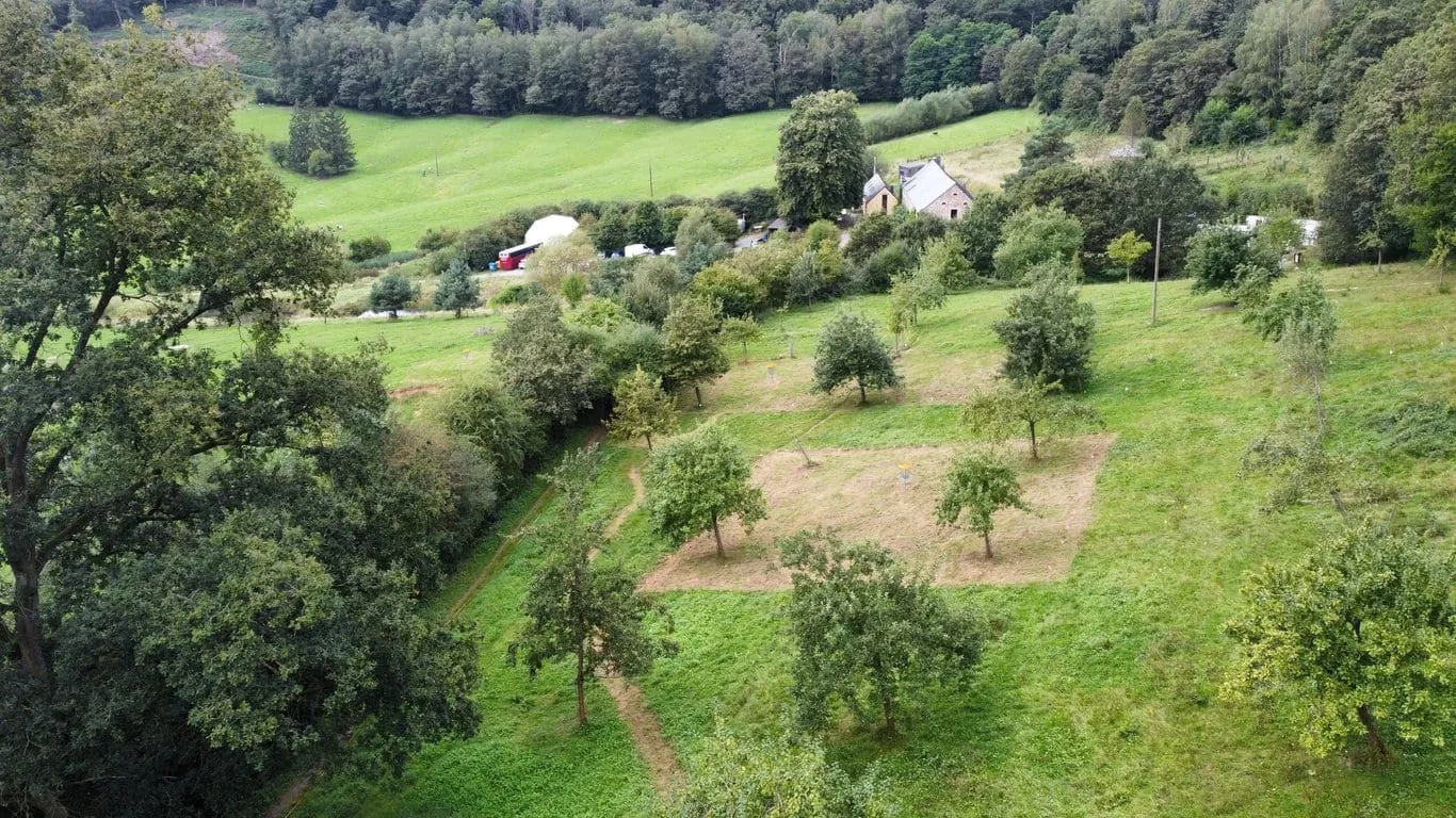 Dji fly 20240825 142602 979 1724589528208 photo optimized