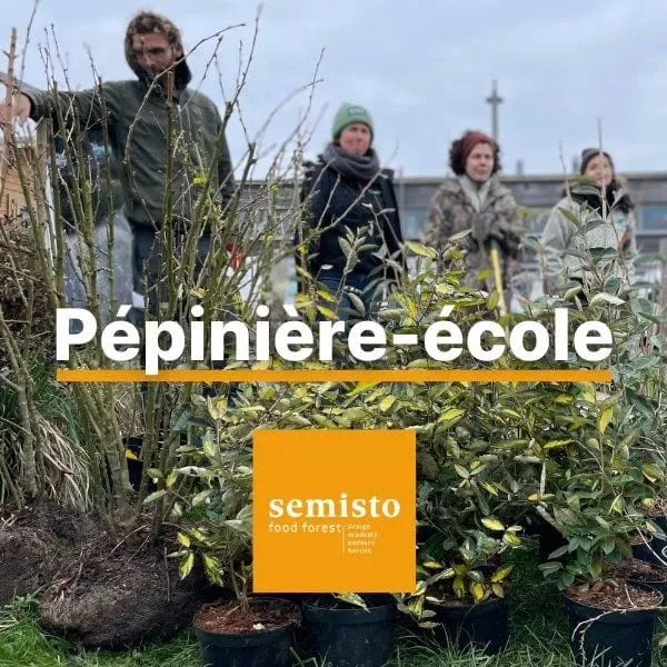 Pepiniere