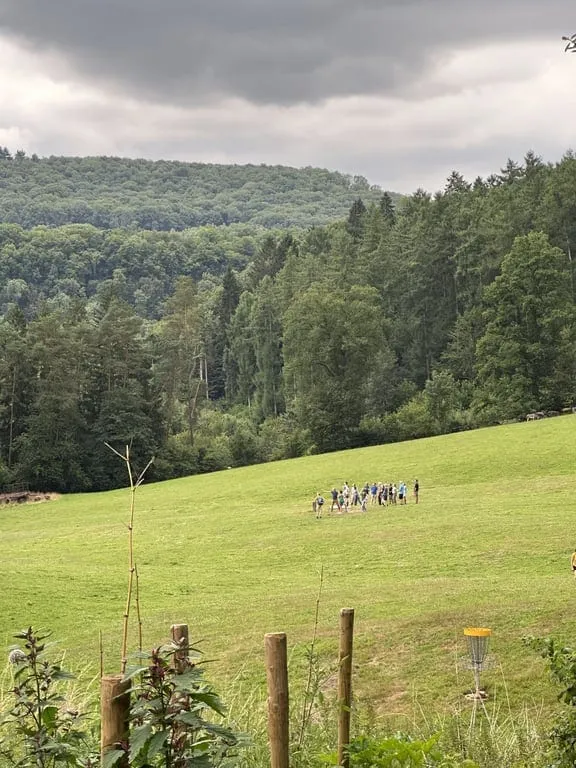 Le bois des 4 Sources