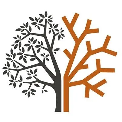 De Branches en Planches