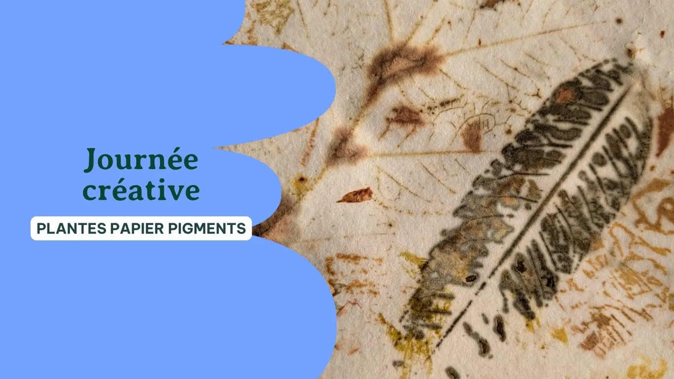 🌻 Plantes Papier Pigments